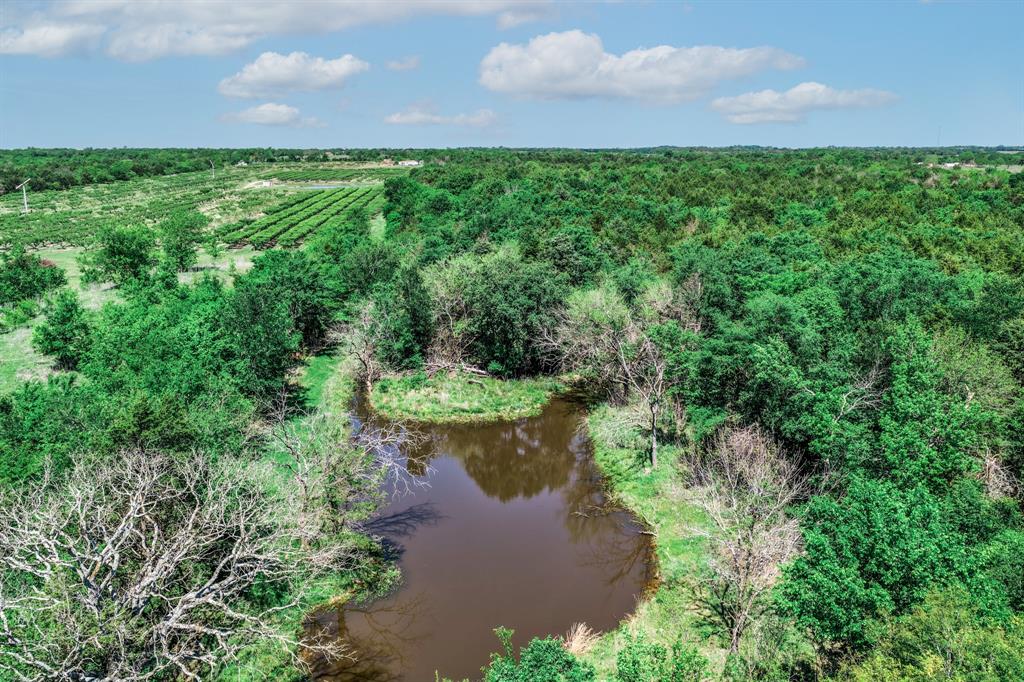 0 County Road 308 Terrell, TX 75161 - Photo 13 of 40 a view of a garden with a lake