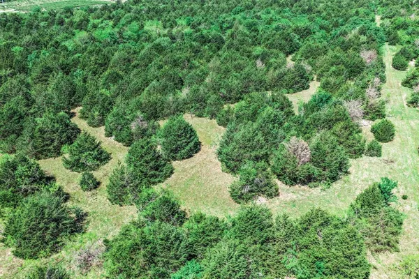 $775,000 | 0 County Road 308, Terrell, TX 75161