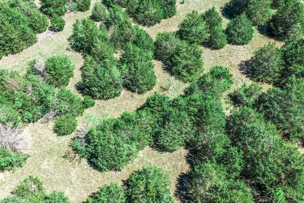 $775,000 | 0 County Road 308, Terrell, TX 75161