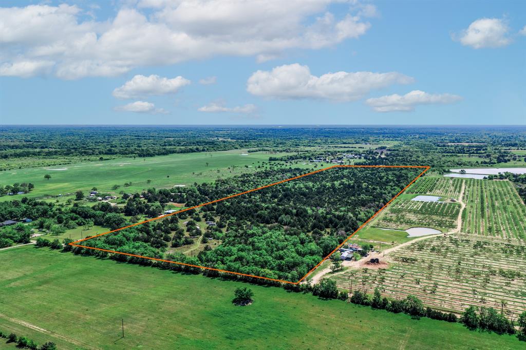 0 County Road 308 Terrell, TX 75161 - Photo 2 of 40 a view of a city with lush green forest