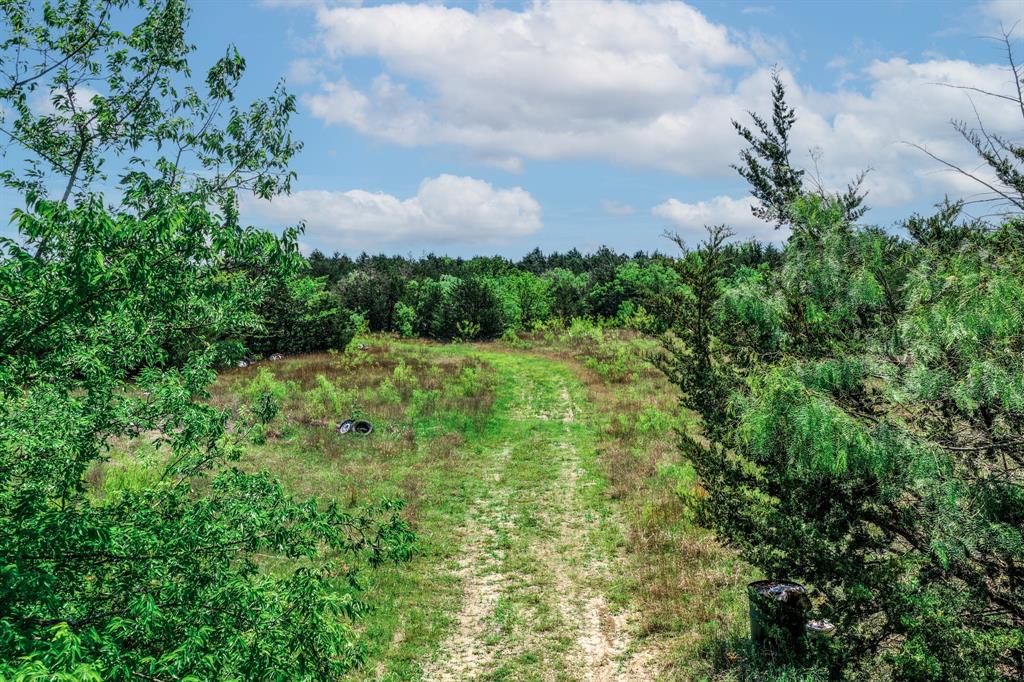0 County Road 308 Terrell, TX 75161 - Photo 21 of 40 a view of a garden