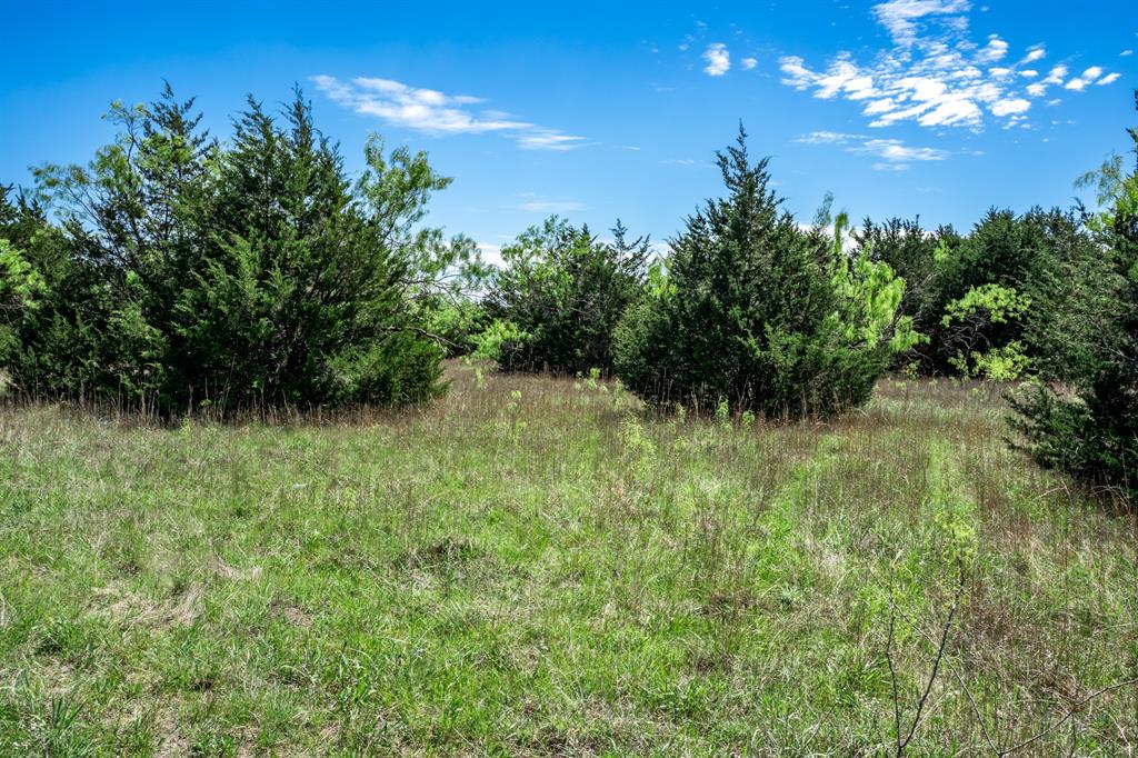 0 County Road 308 Terrell, TX 75161 - Photo 23 of 40 a view of a garden
