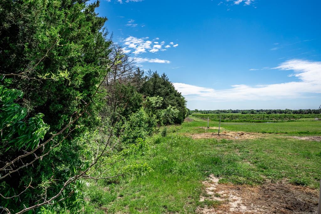 0 County Road 308 Terrell, TX 75161 - Photo 26 of 40 a view of a city with lush green forest