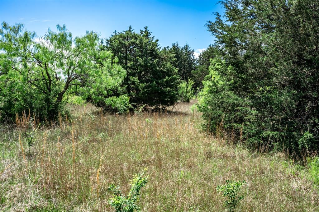 0 County Road 308 Terrell, TX 75161 - Photo 28 of 40 a view of a garden