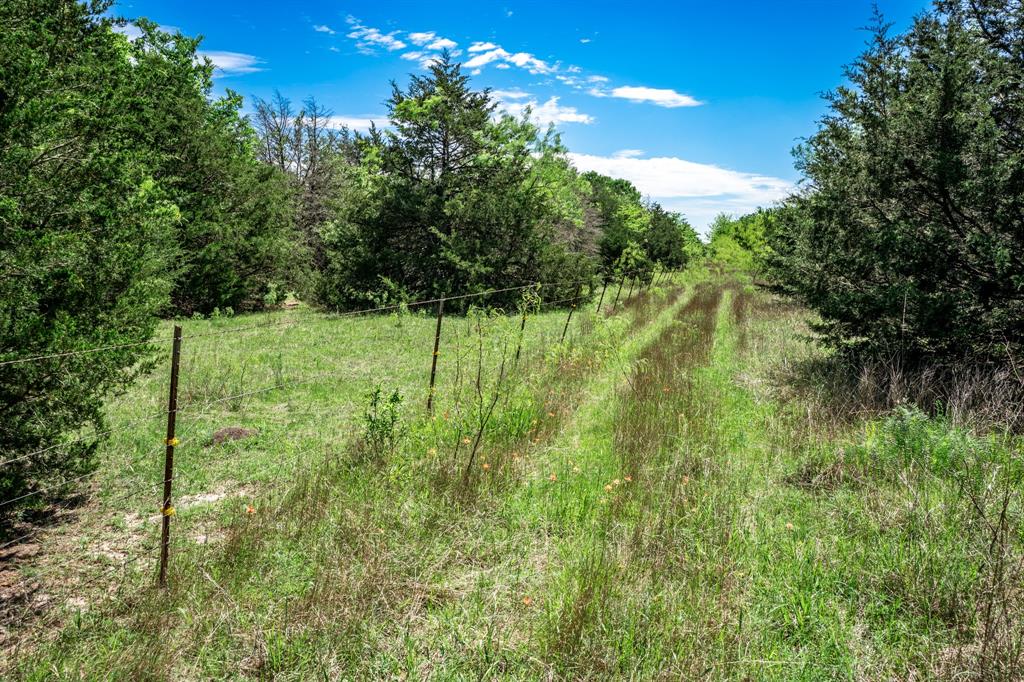 0 County Road 308 Terrell, TX 75161 - Photo 31 of 40 a view of a green field with lots of bushes