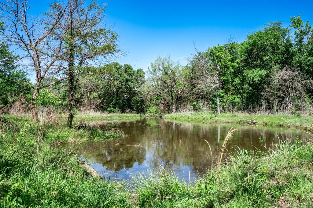 0 County Road 308 Terrell, TX 75161 - Photo 36 of 40 a view of a lake view with a garden
