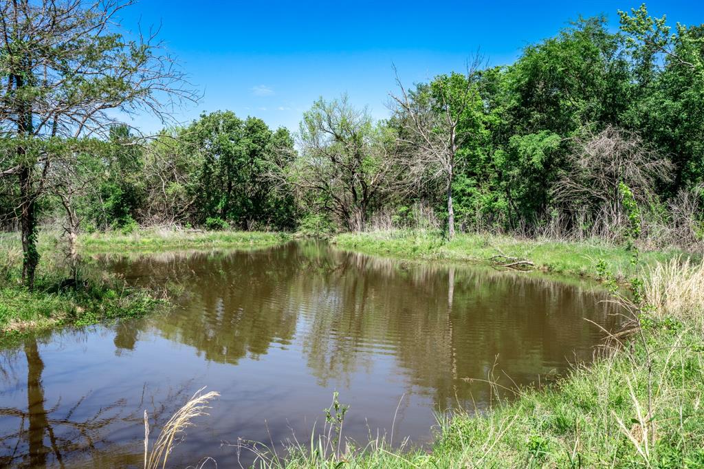 0 County Road 308 Terrell, TX 75161 - Photo 37 of 40 a view of a lake view with a garden
