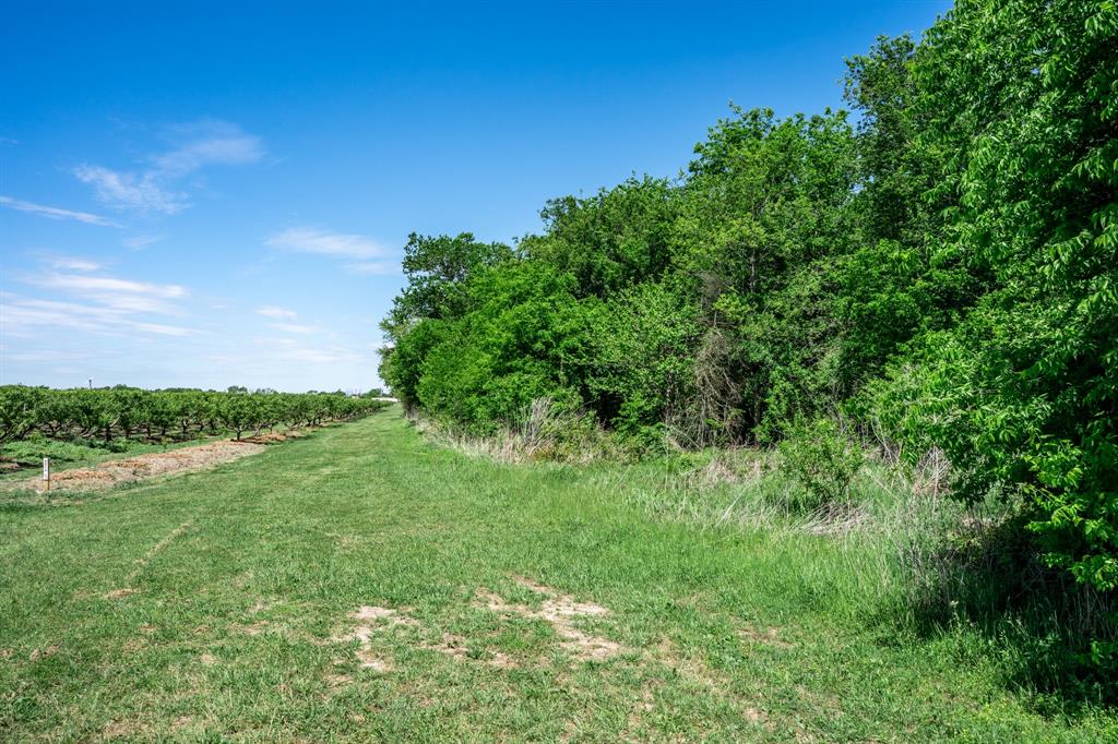 0 County Road 308 Terrell, TX 75161 - Photo 39 of 40 a view of lake with green space