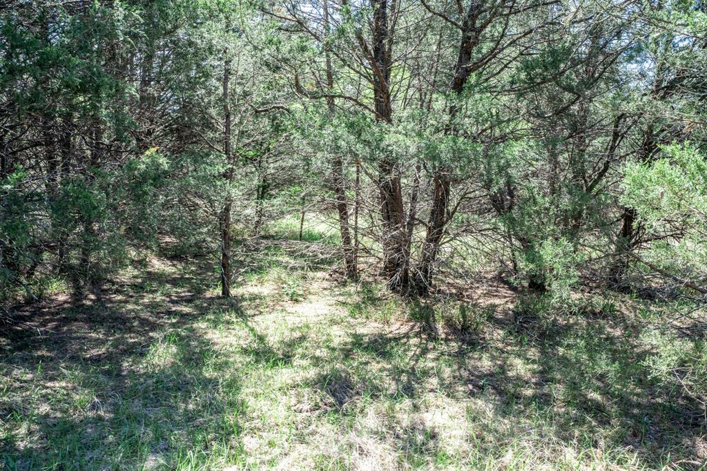 0 County Road 308 Terrell, TX 75161 - Photo 40 of 40 a view of a yard with a tree