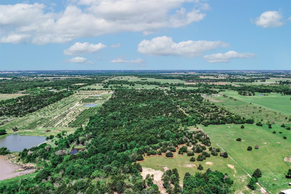 0 County Road 308 Terrell, TX 75161 - Photo 7 of 40 a view of a city with lush green forest