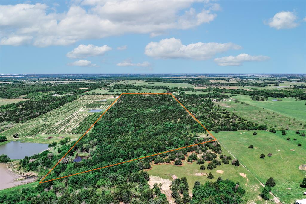 0 County Road 308 Terrell, TX 75161 - Photo 8 of 40 a view of a lush green field with lots of green space