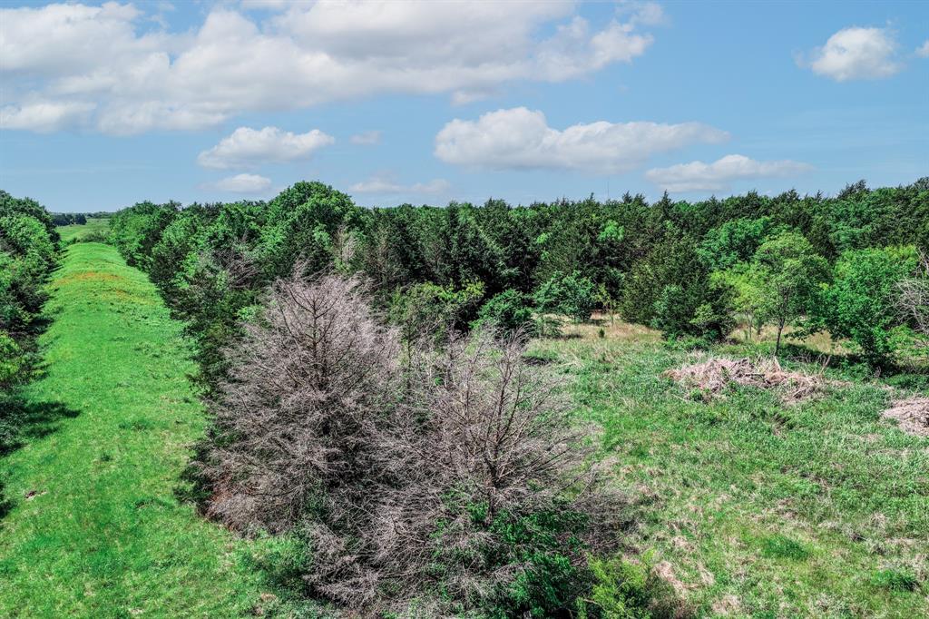 0 County Road 308 Terrell, TX 75161 - Photo 10 of 40 a view of a bunch of trees