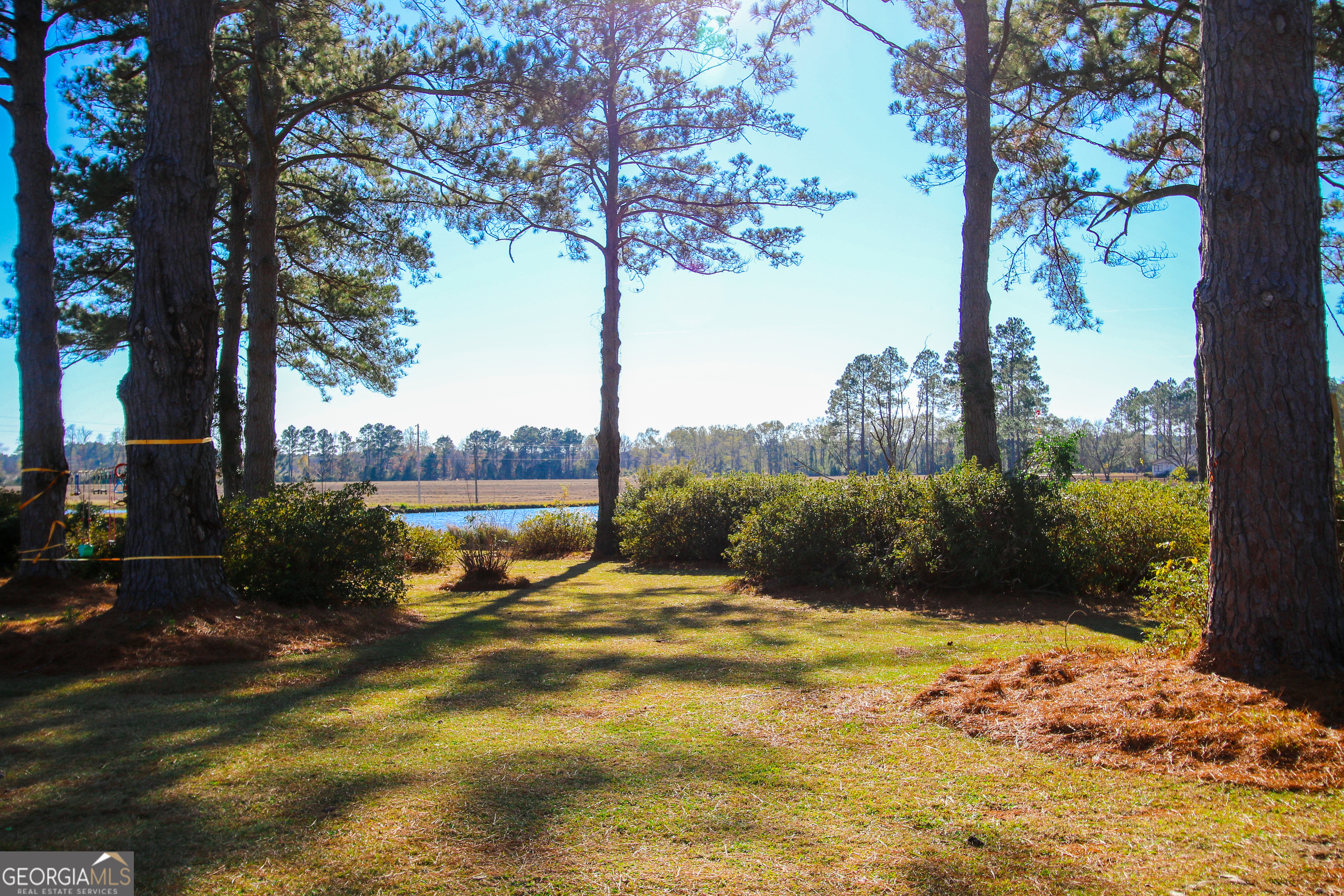 813 Evergreen Road Cobbtown, GA 30420 - Photo 7 of 72 a view of a lake with a tree
