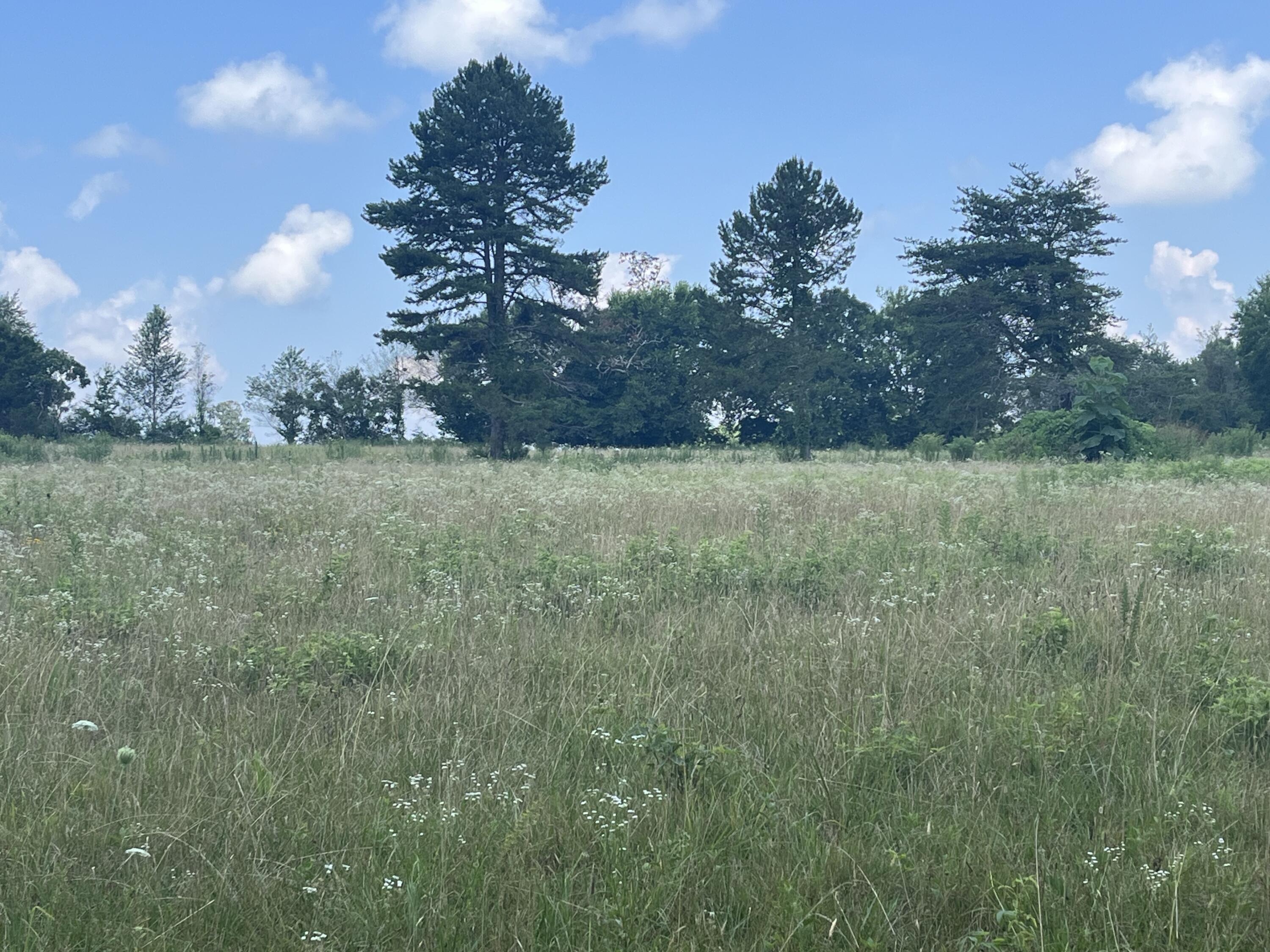 2420 Welch Road Soddy Daisy, TN 37379 - Photo 11 of 45 Photo Jul 18 2023, 11 31 06 AM