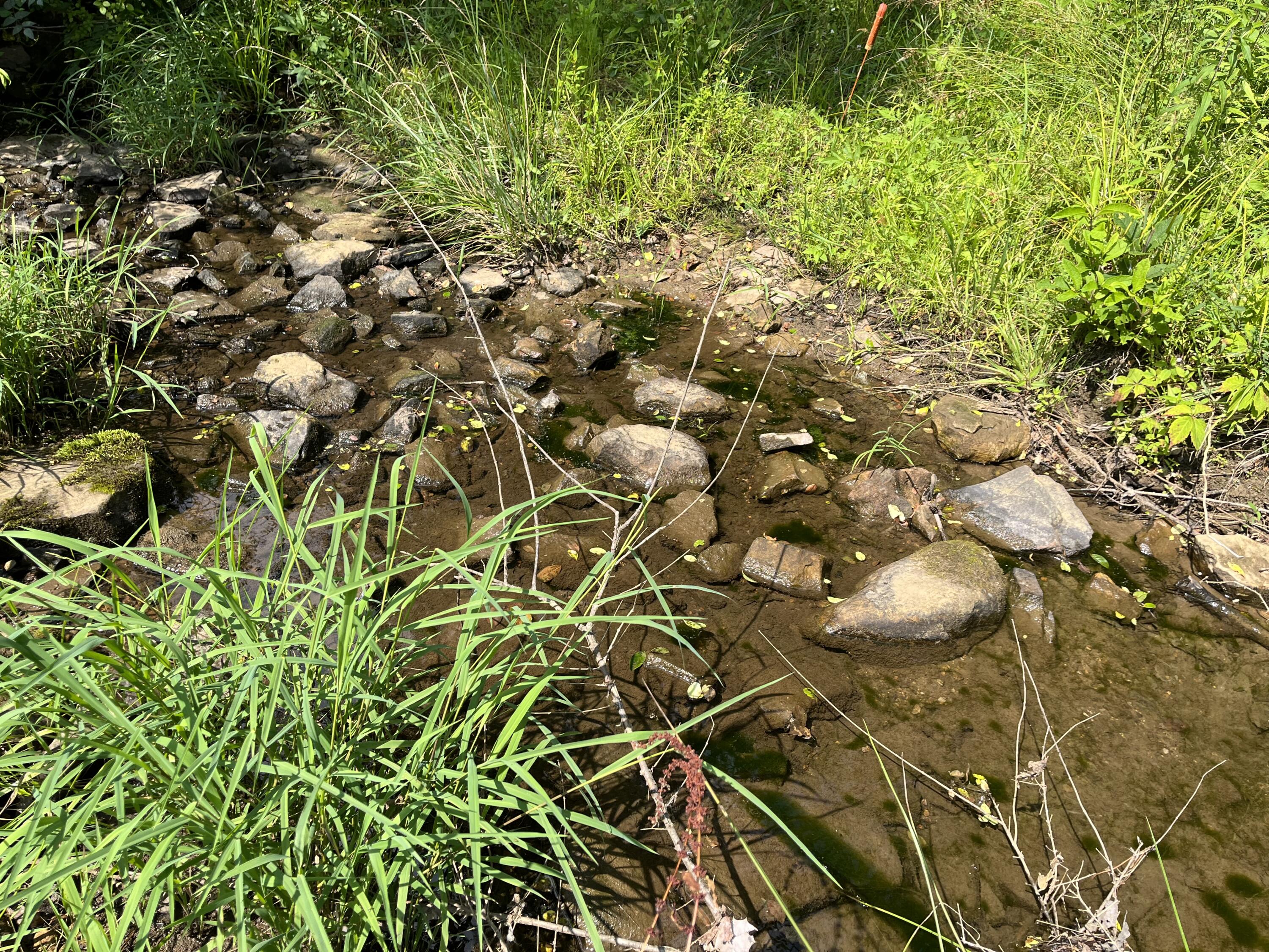 2420 Welch Road Soddy Daisy, TN 37379 - Photo 13 of 45 Photo Jul 18 2023, 11 18 49 AM