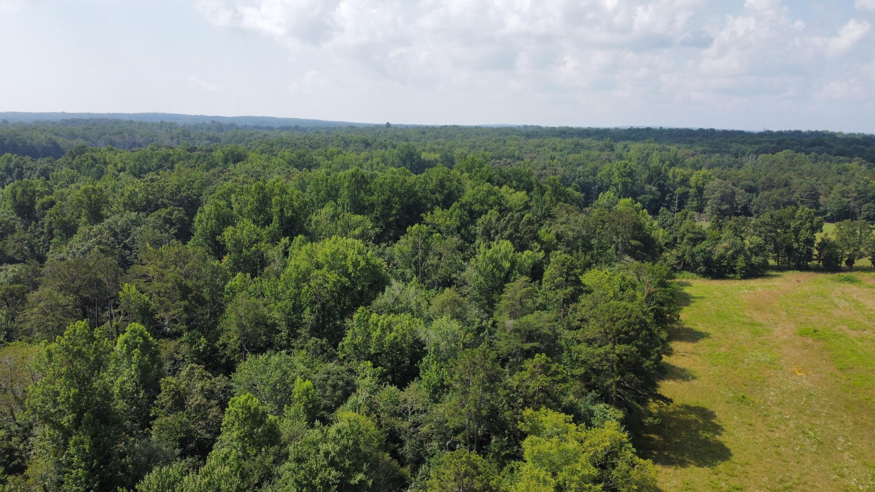 2420 Welch Road Soddy Daisy, TN 37379 - Photo 16 of 45 dji_fly_20230718_111932_149_168969360786