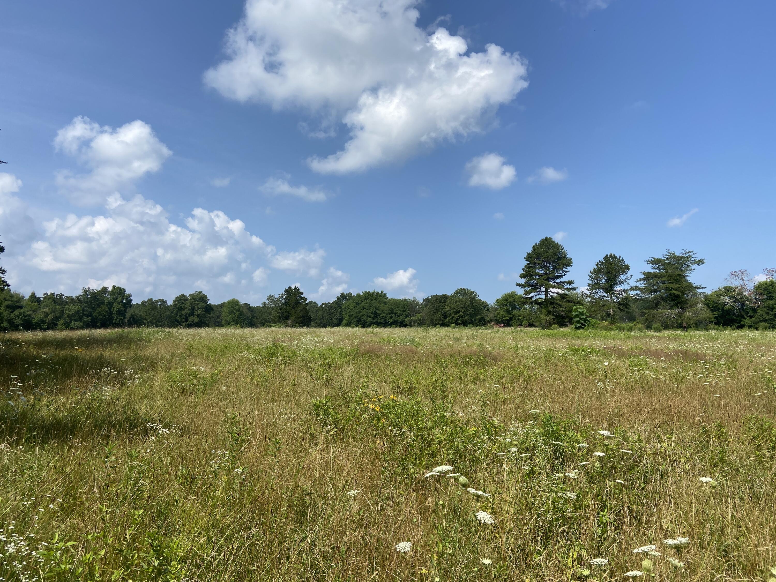 2420 Welch Road Soddy Daisy, TN 37379 - Photo 20 of 45 IMG_7221