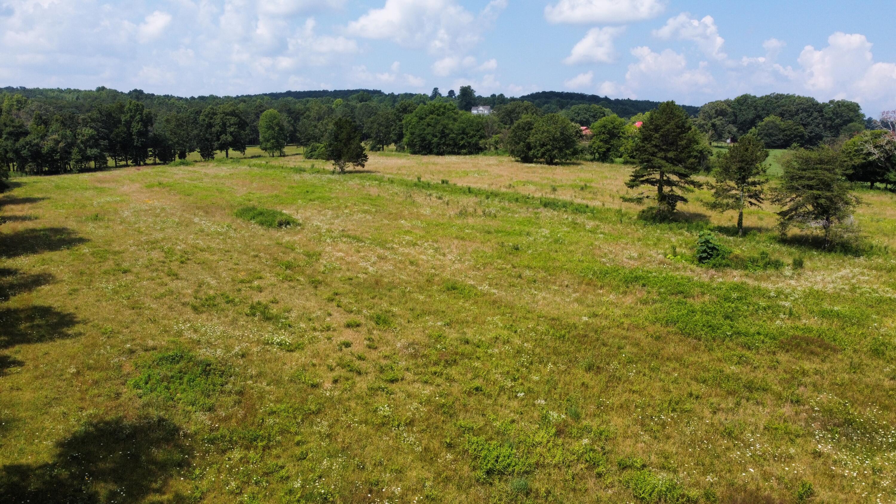 dji_fly_20230718_111910_145_168969356771