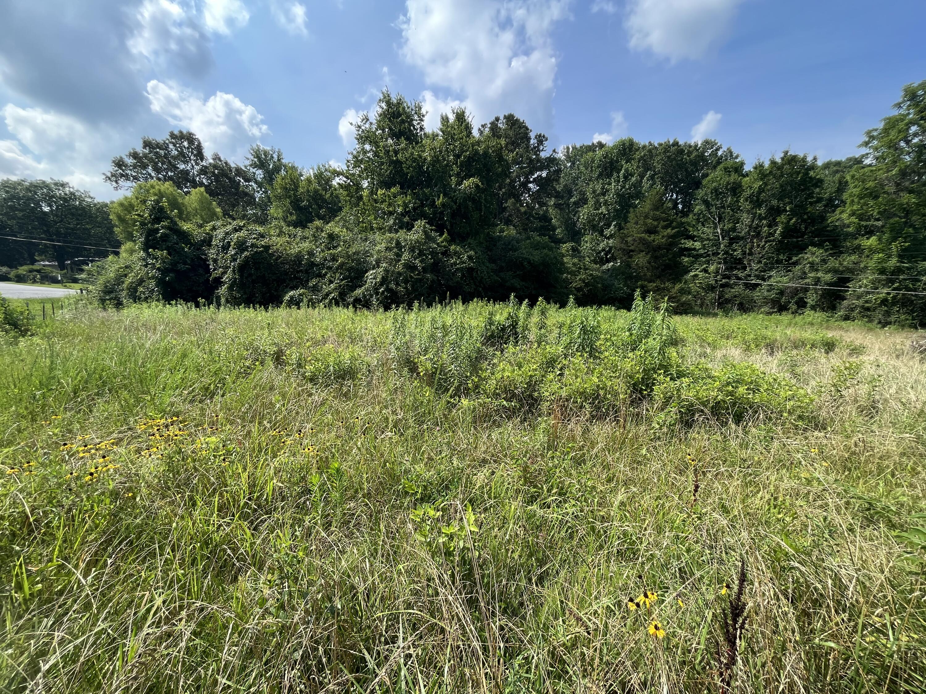 2420 Welch Road Soddy Daisy, TN 37379 - Photo 23 of 45 Photo Jul 18 2023, 11 06 15 AM