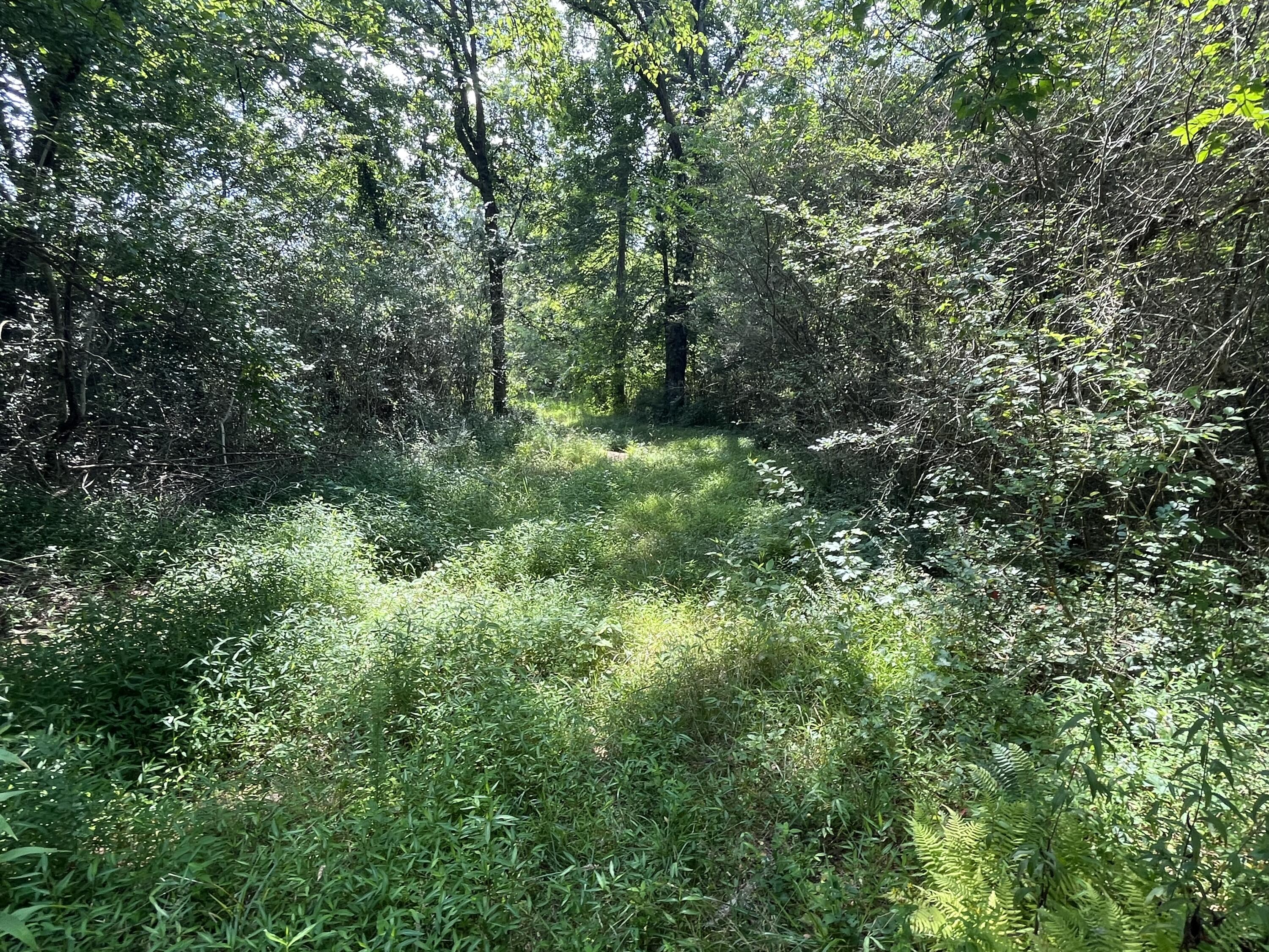 2420 Welch Road Soddy Daisy, TN 37379 - Photo 29 of 45 Photo Jul 18 2023, 11 16 19 AM