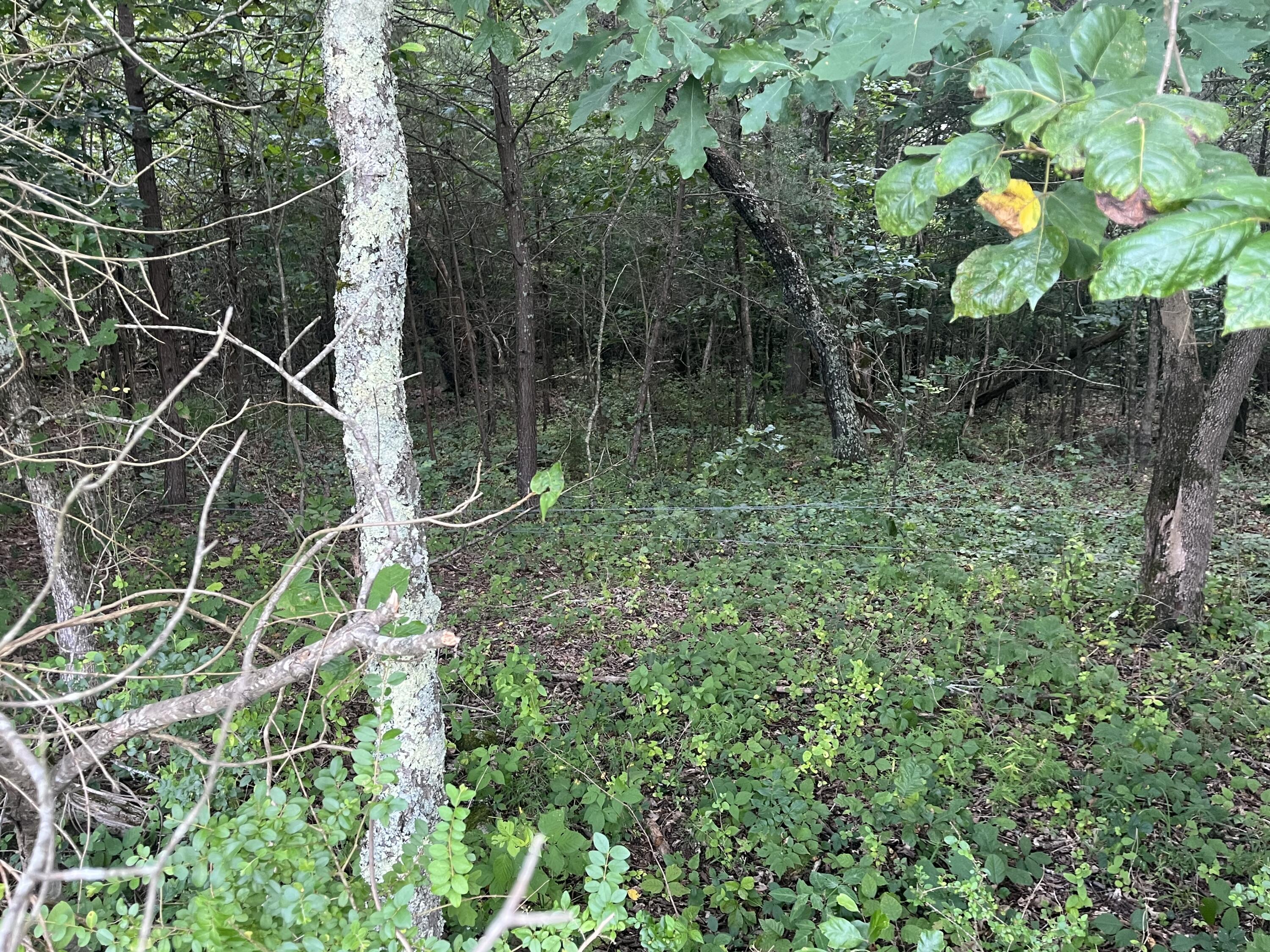 2420 Welch Road Soddy Daisy, TN 37379 - Photo 41 of 45 Photo Jul 18 2023, 11 32 00 AM