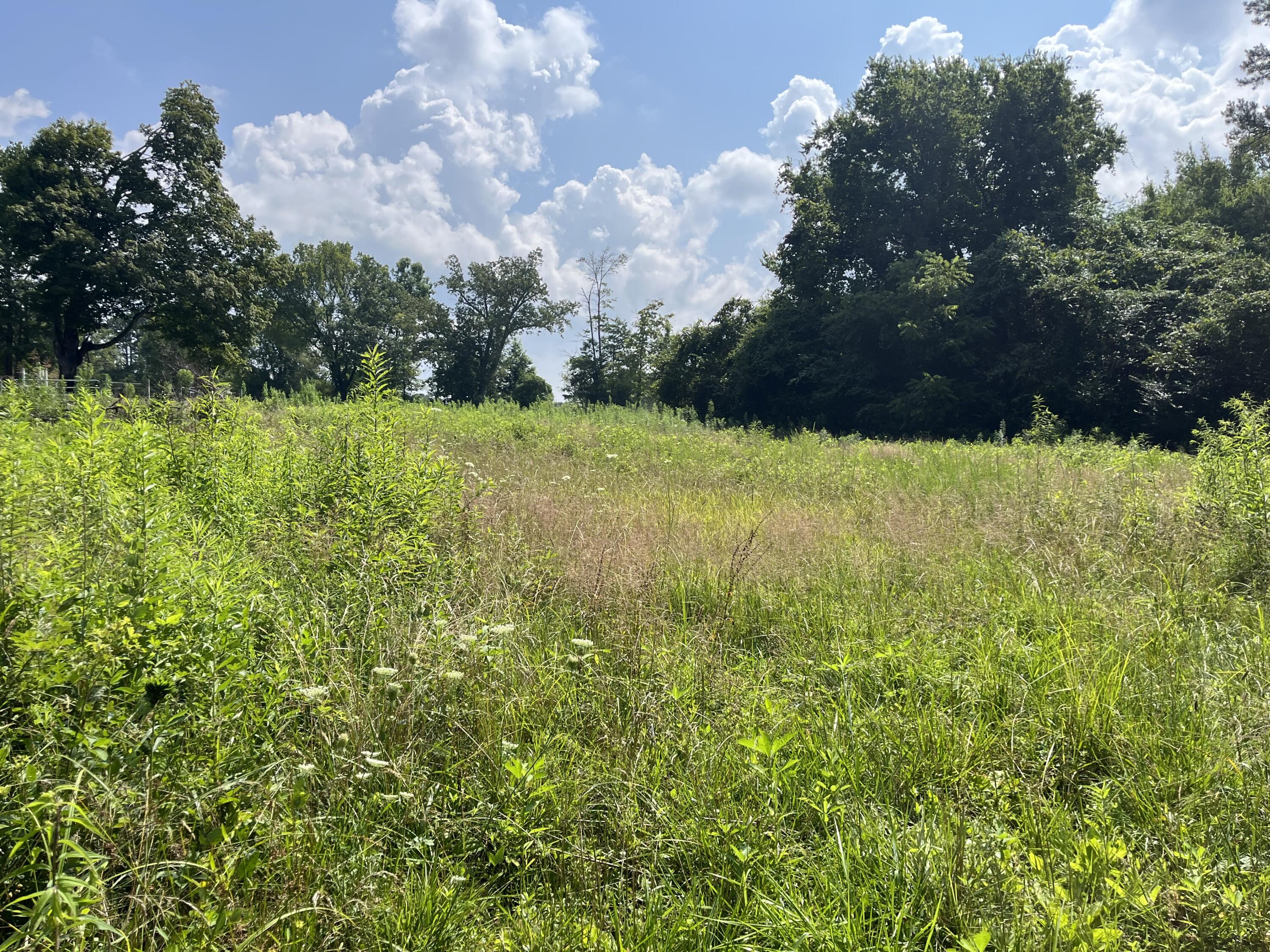 2420 Welch Road Soddy Daisy, TN 37379 - Photo 8 of 45 Photo Jul 18 2023, 11 18 31 AM