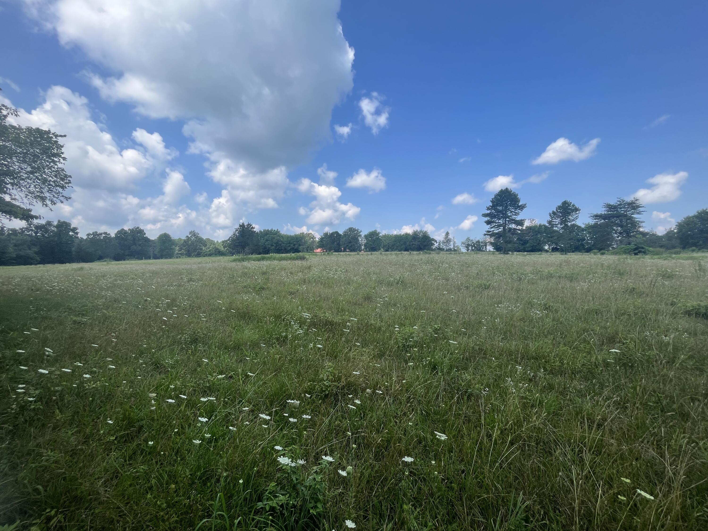 2420 Welch Road Soddy Daisy, TN 37379 - Photo 9 of 45 Photo Jul 18 2023, 11 31 02 AM