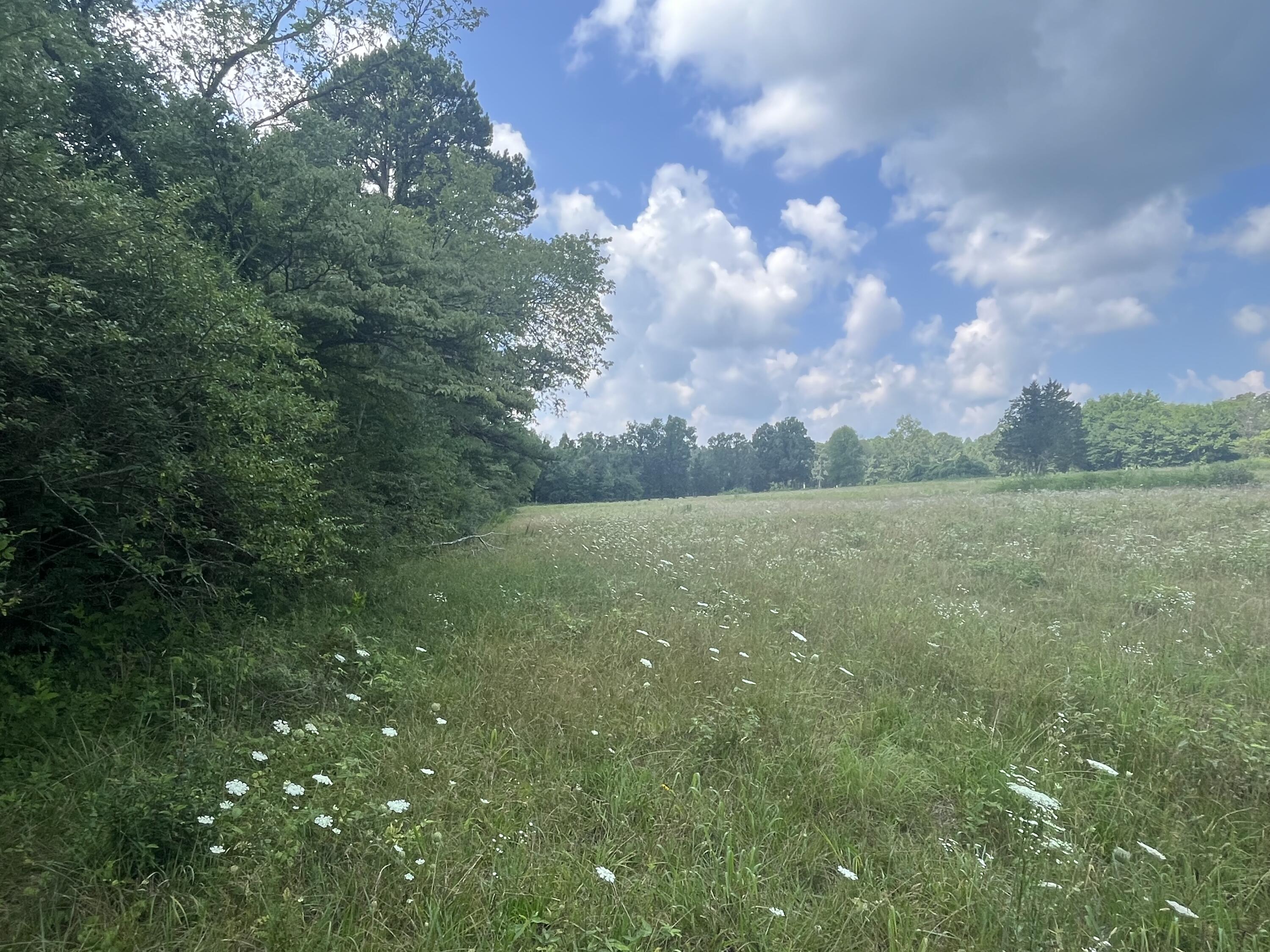 2420 Welch Road Soddy Daisy, TN 37379 - Photo 10 of 45 Photo Jul 18 2023, 11 31 13 AM