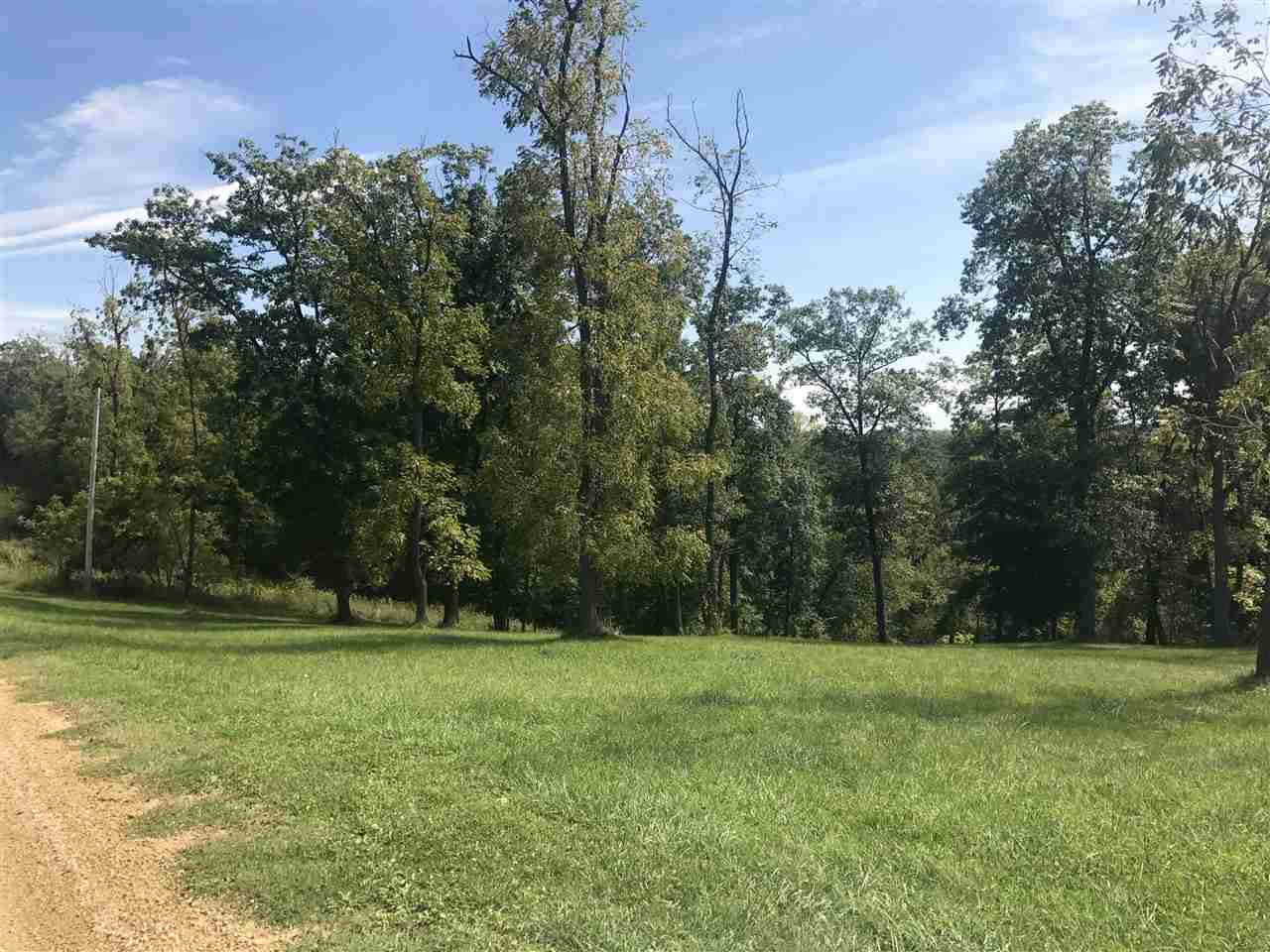 Lot 9 St Catherine Road Bellevue, IA 52031 - Photo 1 of 7 Gallery Image 1