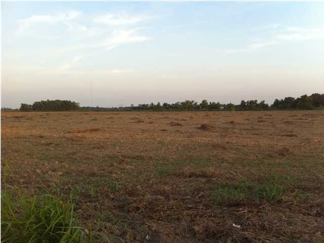0 Soldier Road Scott, LA 70583 - Photo 1 of 2 Primary Photo