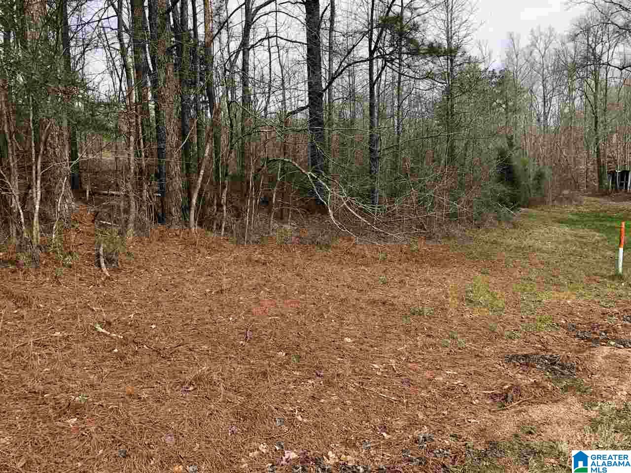 1715 Cook Springs Road, Unit 1 Pell City, AL 35125 - Photo 3 of 4