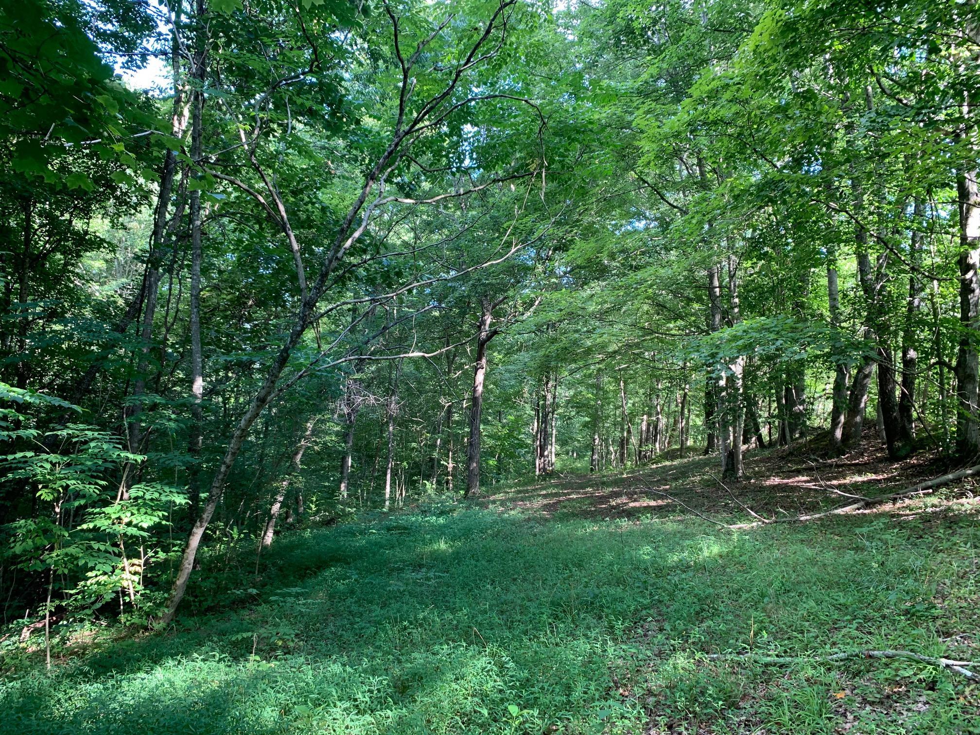 799 Lynch Road Russell Springs, KY 42642 - Photo 20 of 34 IMG_4107