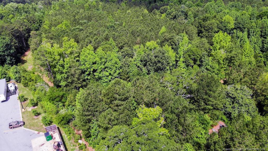 24-87 Nc Cameron, NC 28326 - Photo 10 of 28 view of a lush green forest with large trees