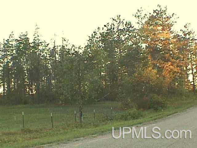 Tbd Ball Road Norway, MI 49870 - Photo 8 of 9