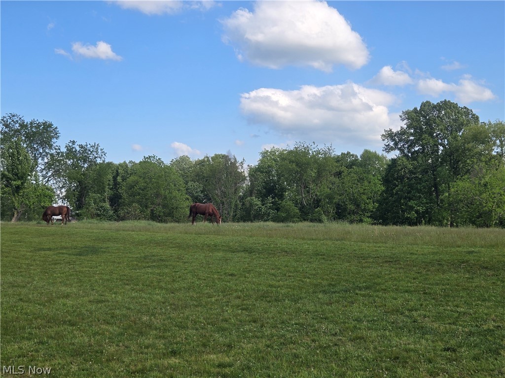 2329 Swart Road Albany, OH 45710 - Photo 21 of 21
