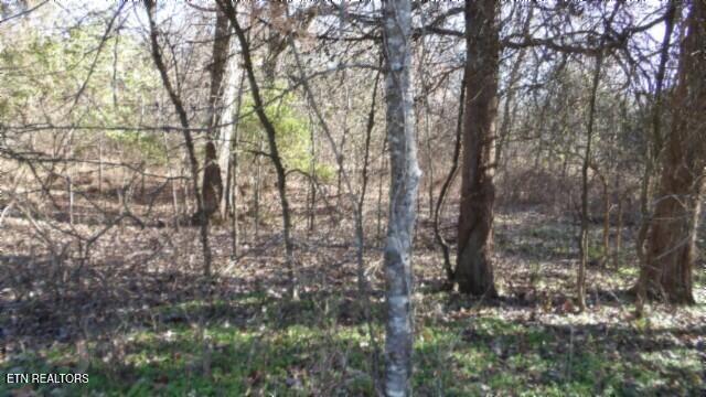 Lot 1 Macedonia Road Castalian Springs, TN 37031 - Photo 11 of 48 100_0017