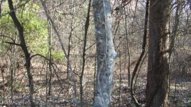 Lot 1 Macedonia Road Castalian Springs, TN 37031 - Photo 12 of 48 100_0018