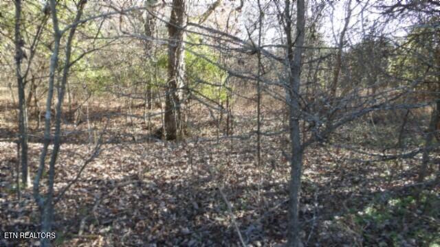 Lot 1 Macedonia Road Castalian Springs, TN 37031 - Photo 13 of 48 100_0020