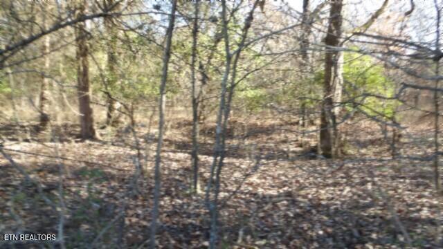 Lot 1 Macedonia Road Castalian Springs, TN 37031 - Photo 14 of 48 100_0021