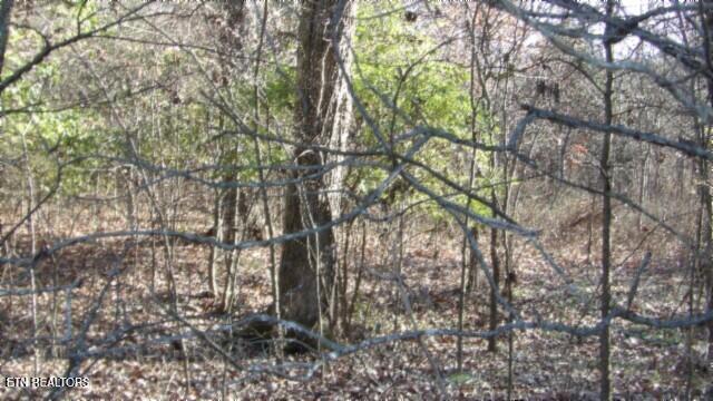 Lot 1 Macedonia Road Castalian Springs, TN 37031 - Photo 15 of 48 100_0022