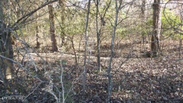 Lot 1 Macedonia Road Castalian Springs, TN 37031 - Photo 16 of 48 100_0023