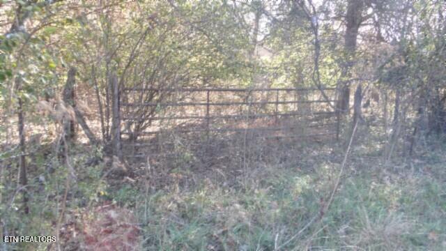 Lot 1 Macedonia Road Castalian Springs, TN 37031 - Photo 19 of 48 100_0026