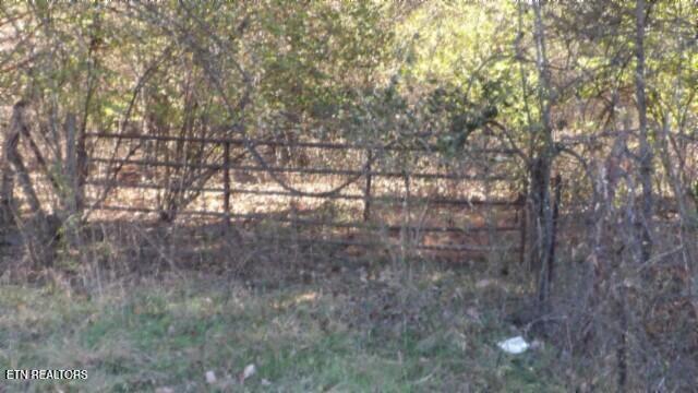 Lot 1 Macedonia Road Castalian Springs, TN 37031 - Photo 20 of 48 100_0028