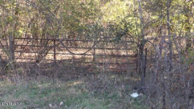 Lot 1 Macedonia Road Castalian Springs, TN 37031 - Photo 21 of 48 100_0029
