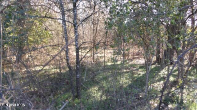 Lot 1 Macedonia Road Castalian Springs, TN 37031 - Photo 24 of 48 100_0036