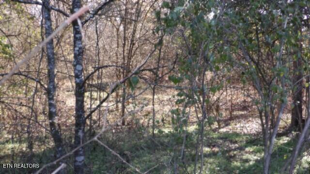 Lot 1 Macedonia Road Castalian Springs, TN 37031 - Photo 25 of 48 100_0037