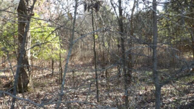 Lot 1 Macedonia Road Castalian Springs, TN 37031 - Photo 26 of 48 100_0038