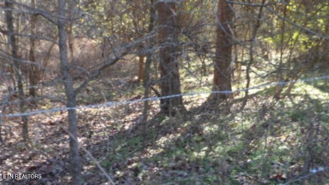 Lot 1 Macedonia Road Castalian Springs, TN 37031 - Photo 27 of 48 100_0039