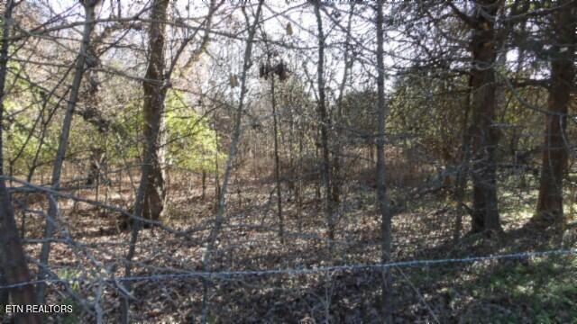 Lot 1 Macedonia Road Castalian Springs, TN 37031 - Photo 28 of 48 100_0040