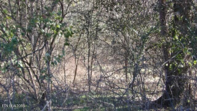 Lot 1 Macedonia Road Castalian Springs, TN 37031 - Photo 30 of 48 100_0042